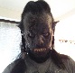 Benutzeravatar