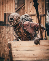 Messenger_creation_7EFEB2C9-80BB-4CE9-86E2-DEC66753F92D.jpeg (258.21 KiB) 1646 mal betrachtet Messenger_creation_7EFEB2C9-80BB-4CE9-86E2-DEC66753F92D.jpeg