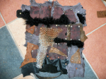 beinschiene2.jpg